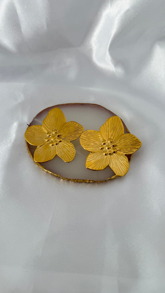 Boucles d’oreilles Amélia 🌸